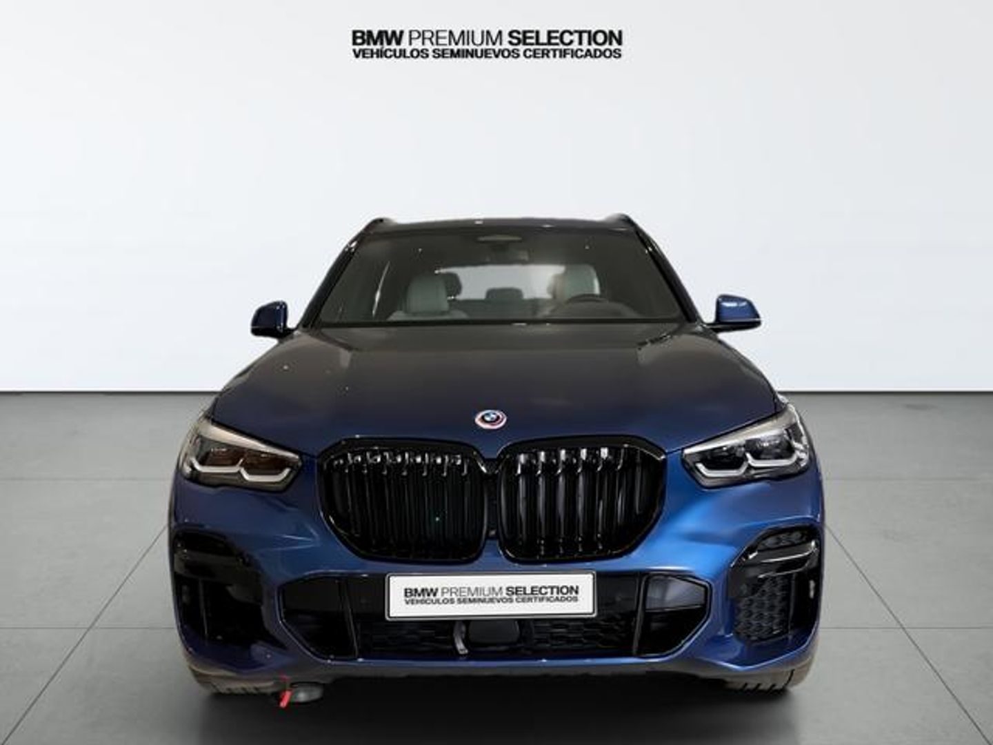 BMW X5 xDrive40d 250 kW (340 CV)