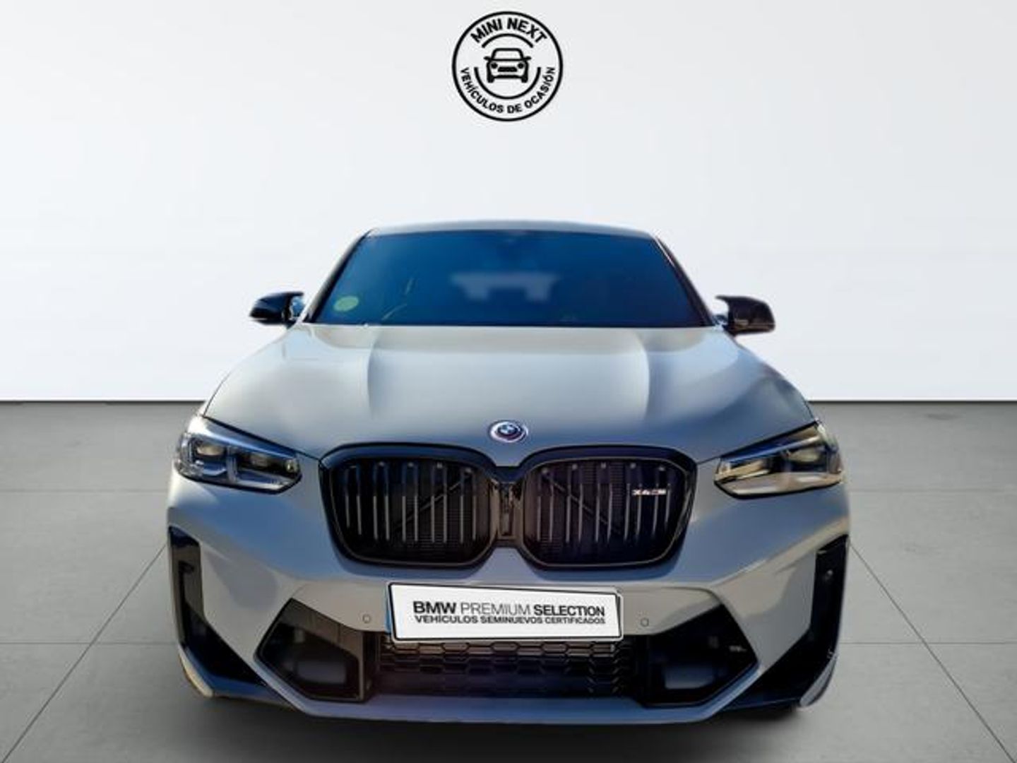BMW M X4 M 353 kW (480 CV)