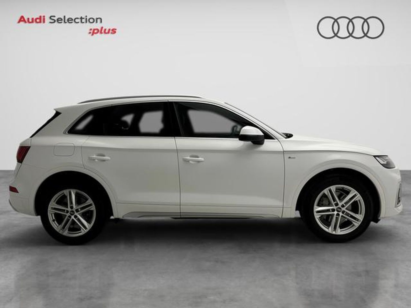 Audi Q5 S line 35 TDI 120 kW (163 CV) S tronic