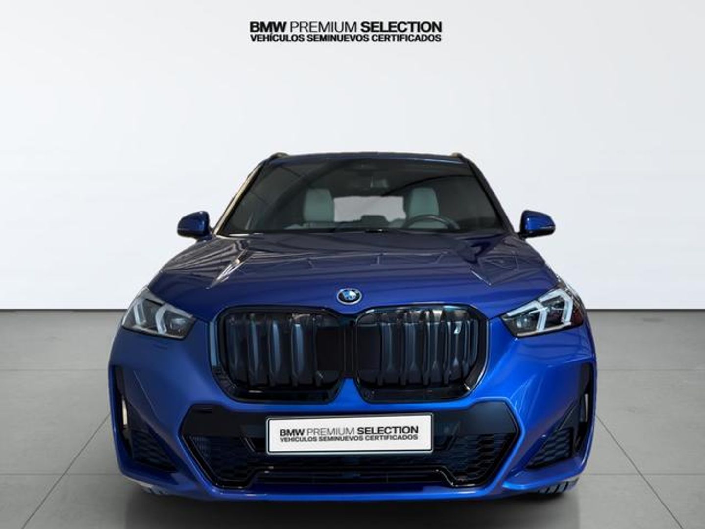 BMW iX1 xDrive30 230 kW (313 CV)