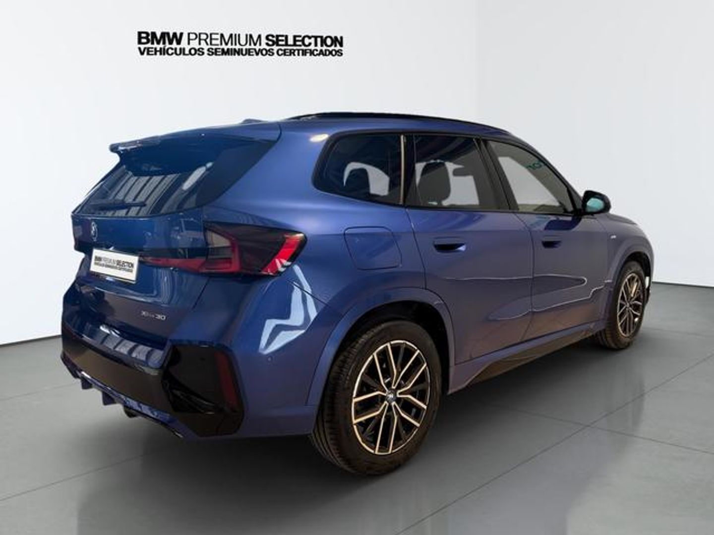 BMW iX1 xDrive30 230 kW (313 CV)