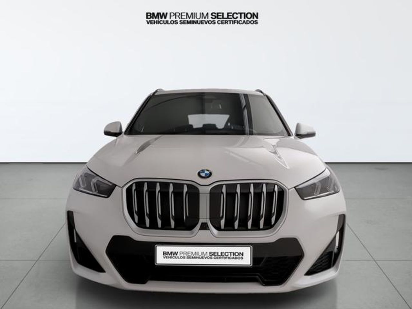 BMW X1 sDrive20i 125 kW (170 CV)