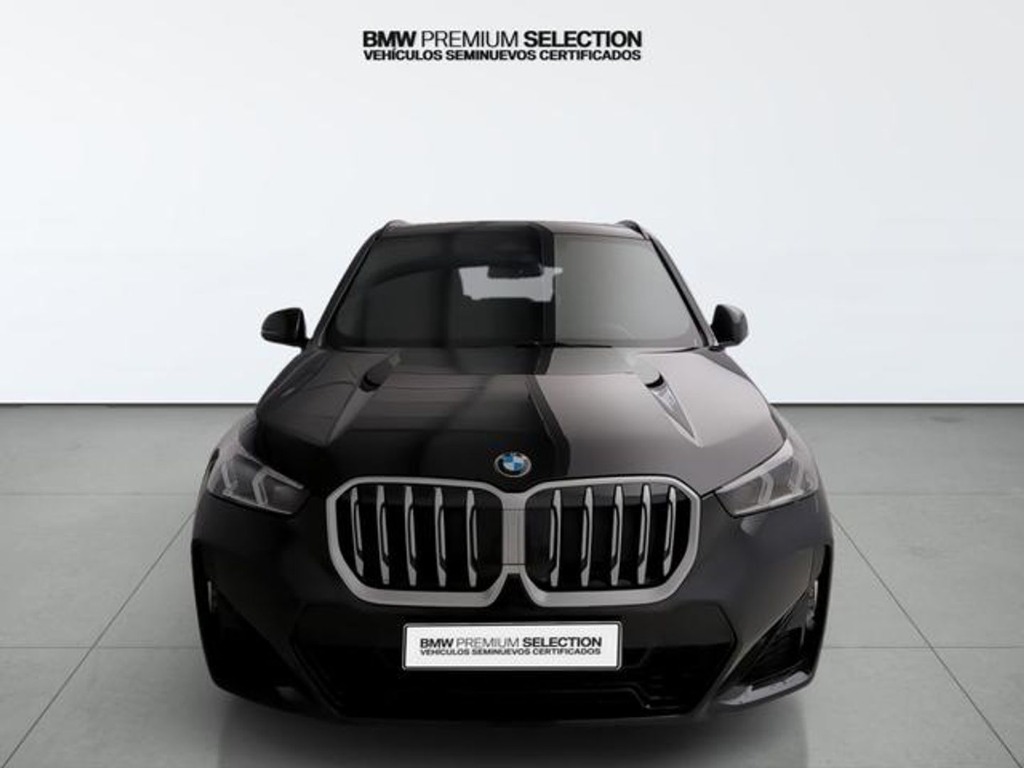 BMW X1 sDrive20i 125 kW (170 CV)