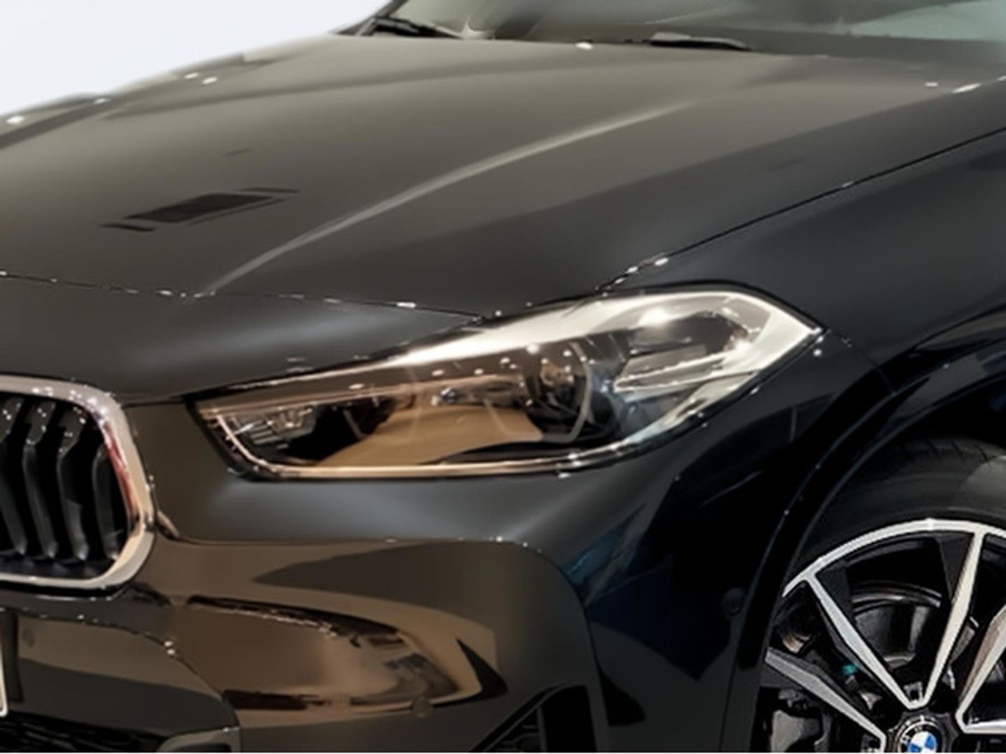 BMW X2 sDrive16d 85 kW (116 CV)