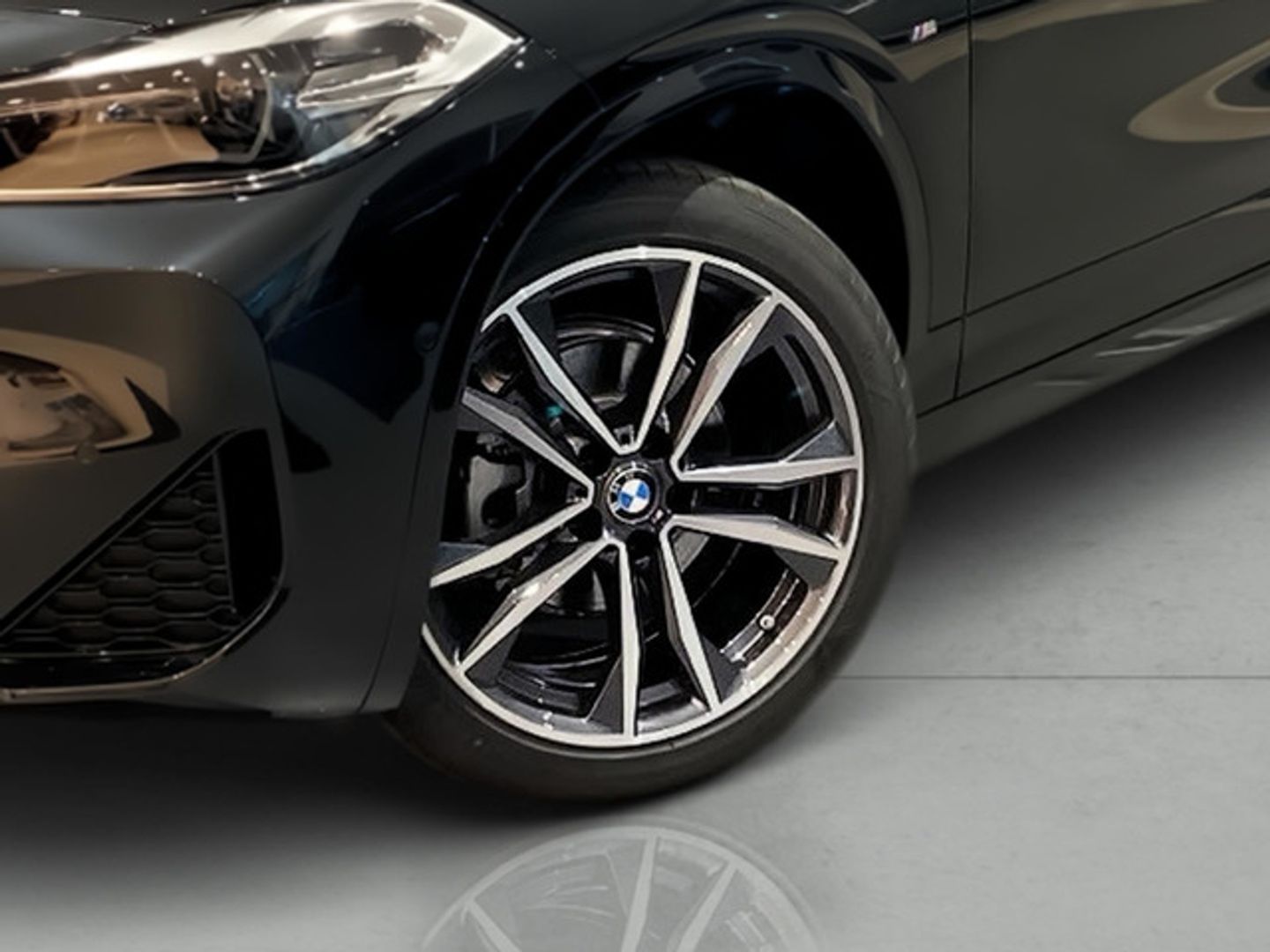 BMW X2 sDrive16d 85 kW (116 CV)
