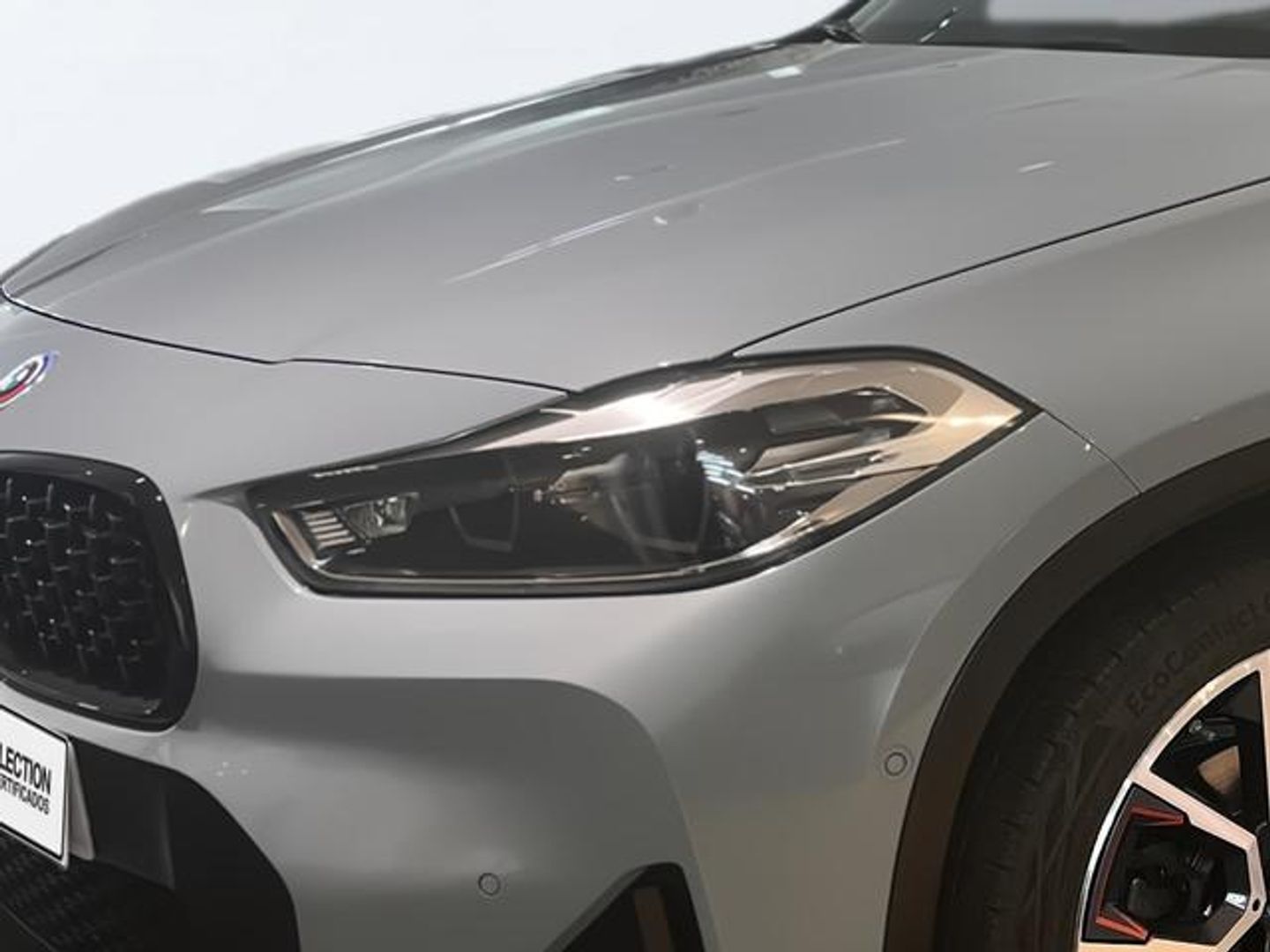 BMW X2 sDrive18d Business 110 kW (150 CV)