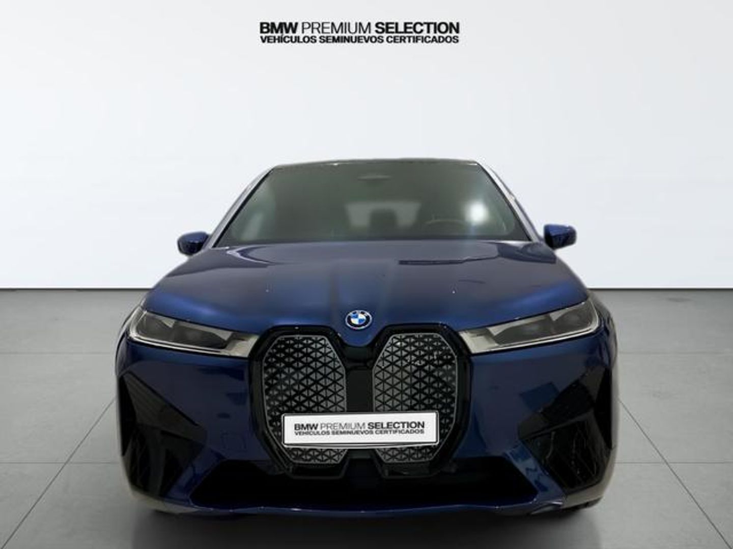 BMW iX xDrive40 240 kW (326 CV) Azul SUV