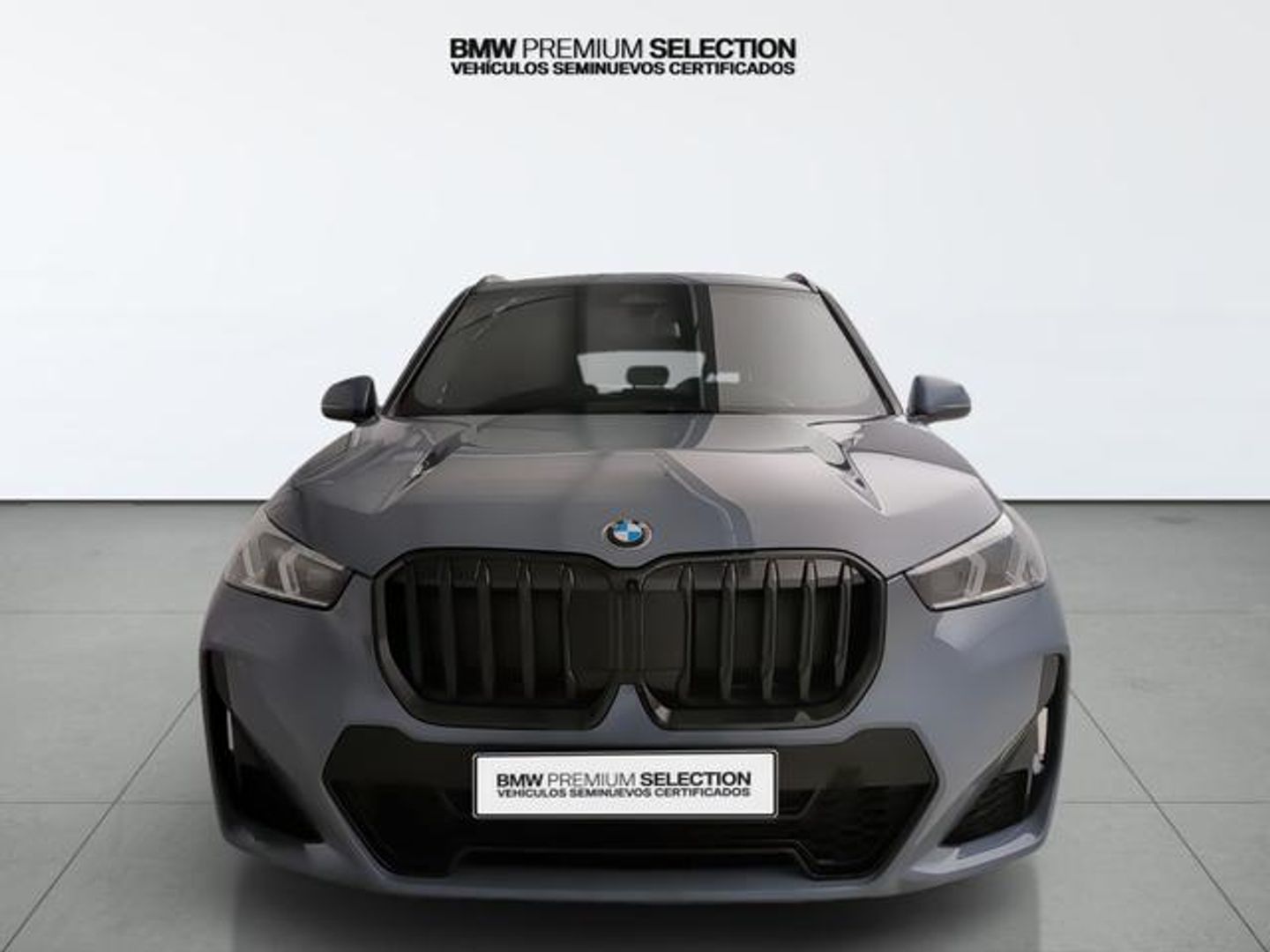 BMW X1 sDrive20i 125 kW (170 CV)