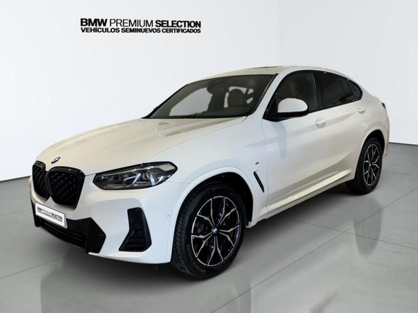 Bmw X4 xDrive20d xLine Blanco SUV