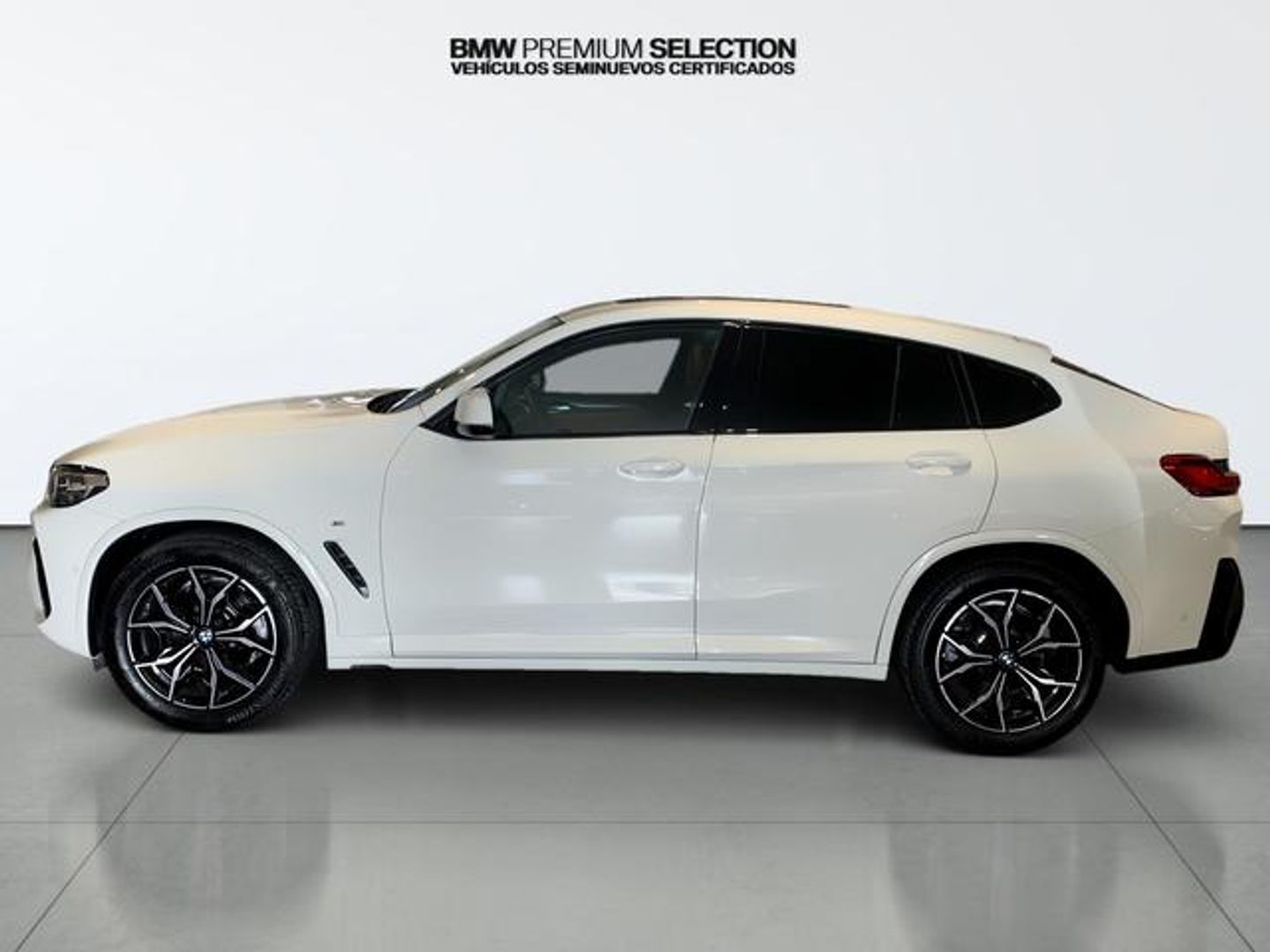 Bmw X4 xDrive20d xLine