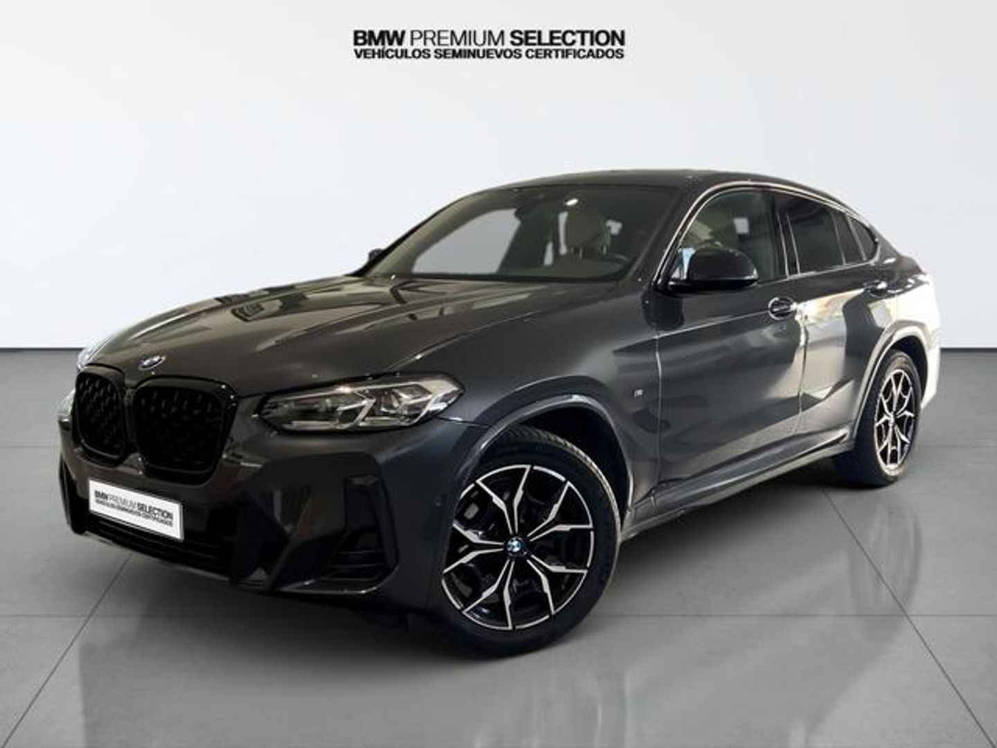 Bmw X4 xDrive20d xLine Gris SUV