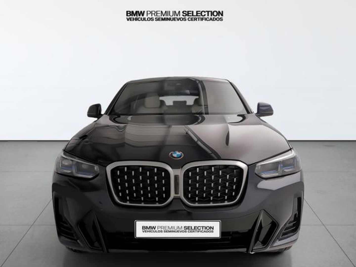 BMW X4 xDrive20d xLine 140 kW (190 CV) Negro SUV