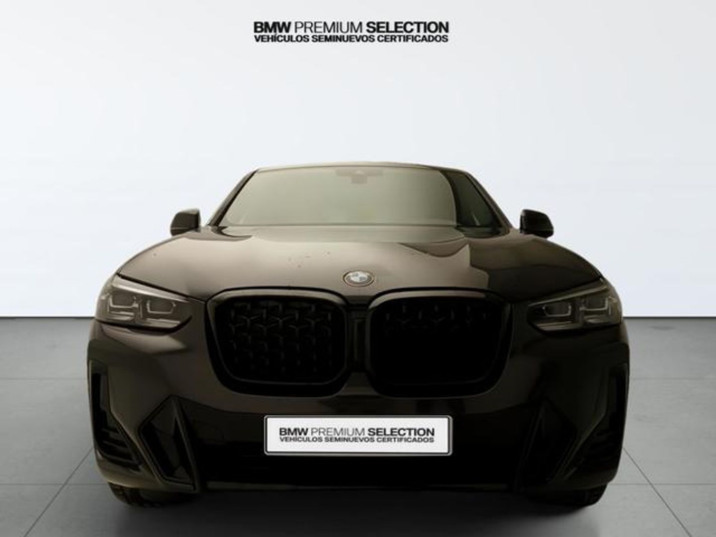 BMW X4 xDrive20d xLine 140 kW (190 CV) Gris SUV