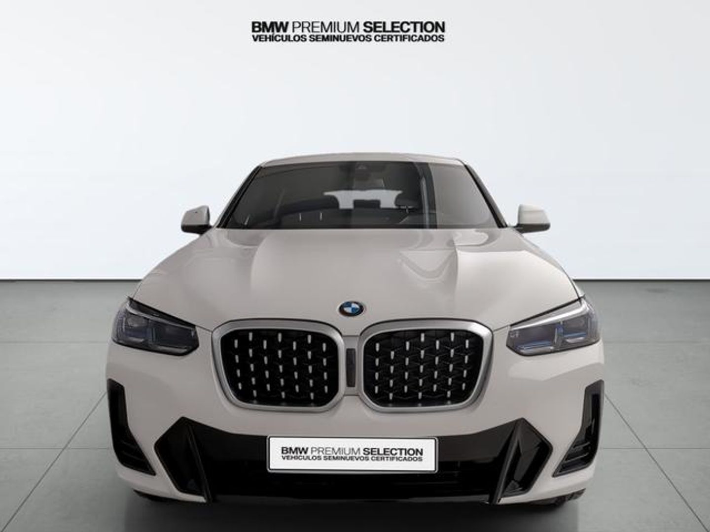 BMW X4 xDrive20d xLine 140 kW (190 CV)