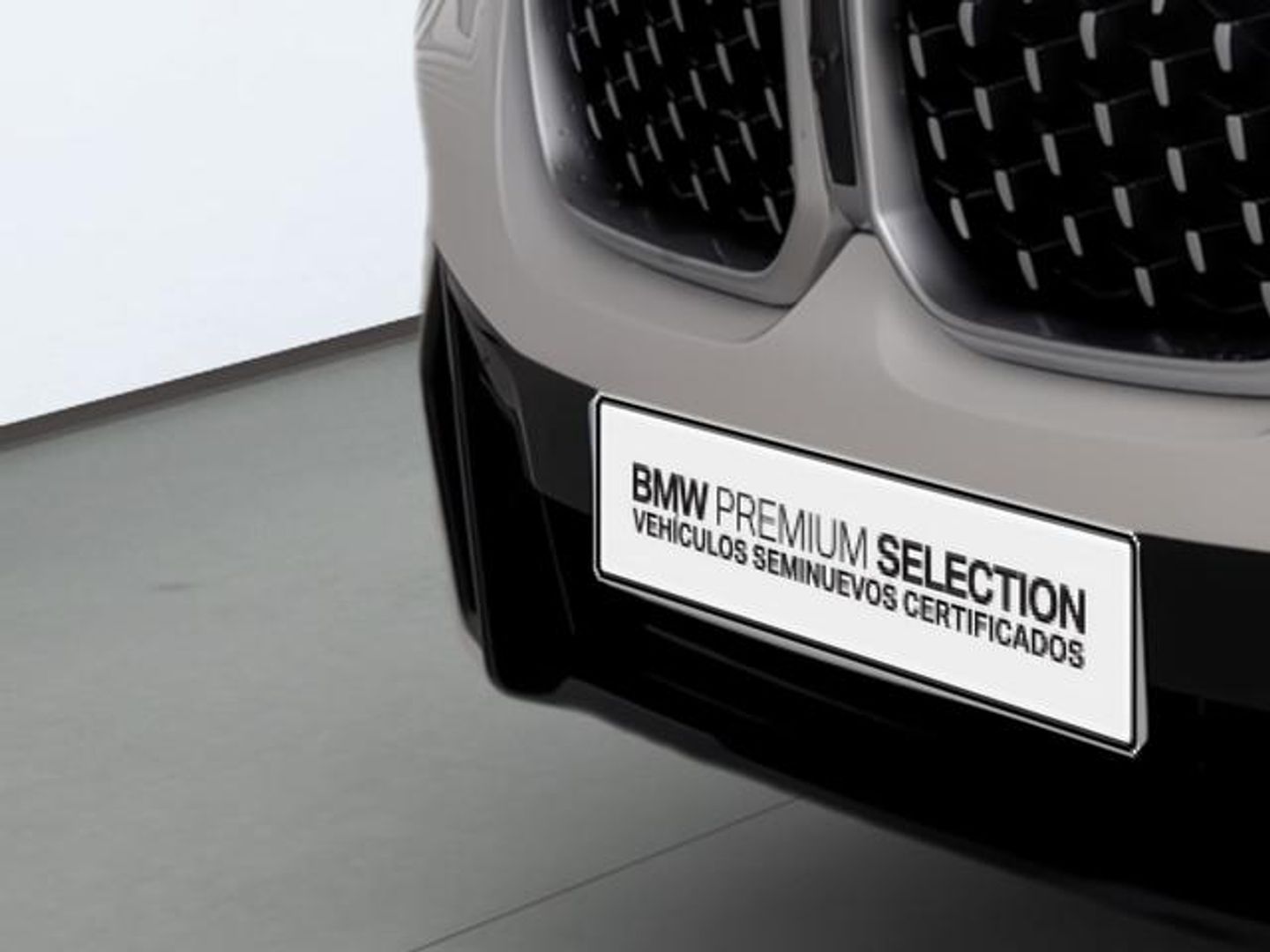 BMW X4 xDrive20d xLine 140 kW (190 CV)