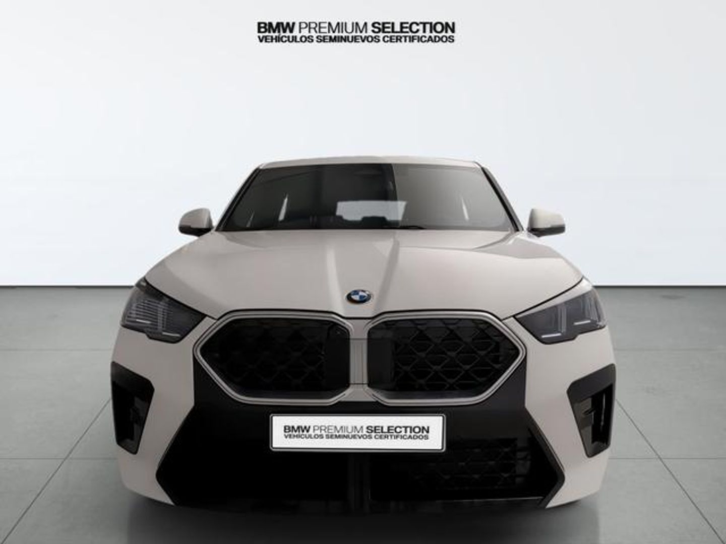 BMW X2 sDrive20i 125 kW (170 CV)