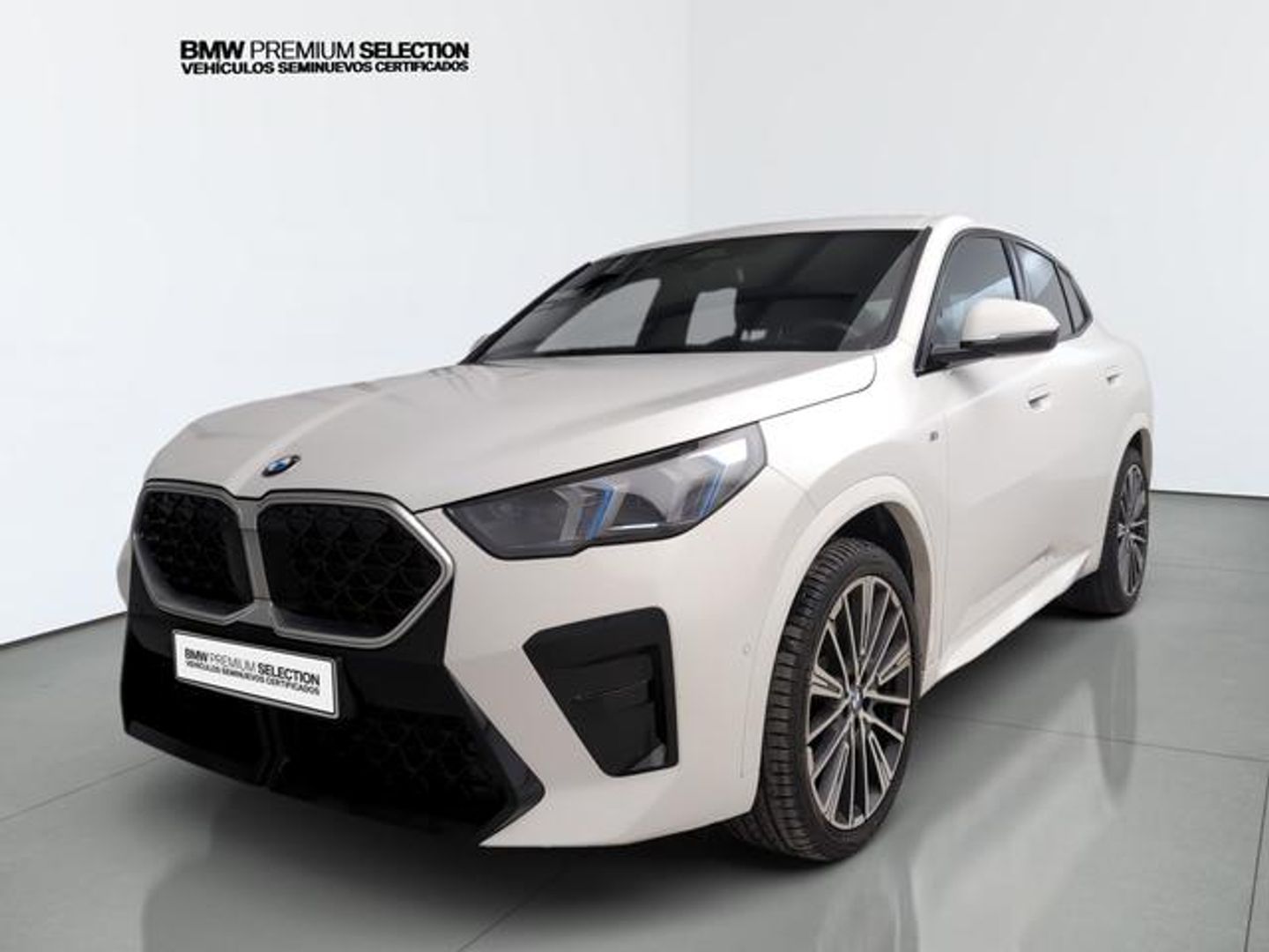 BMW X2 sDrive20i 125 kW (170 CV)