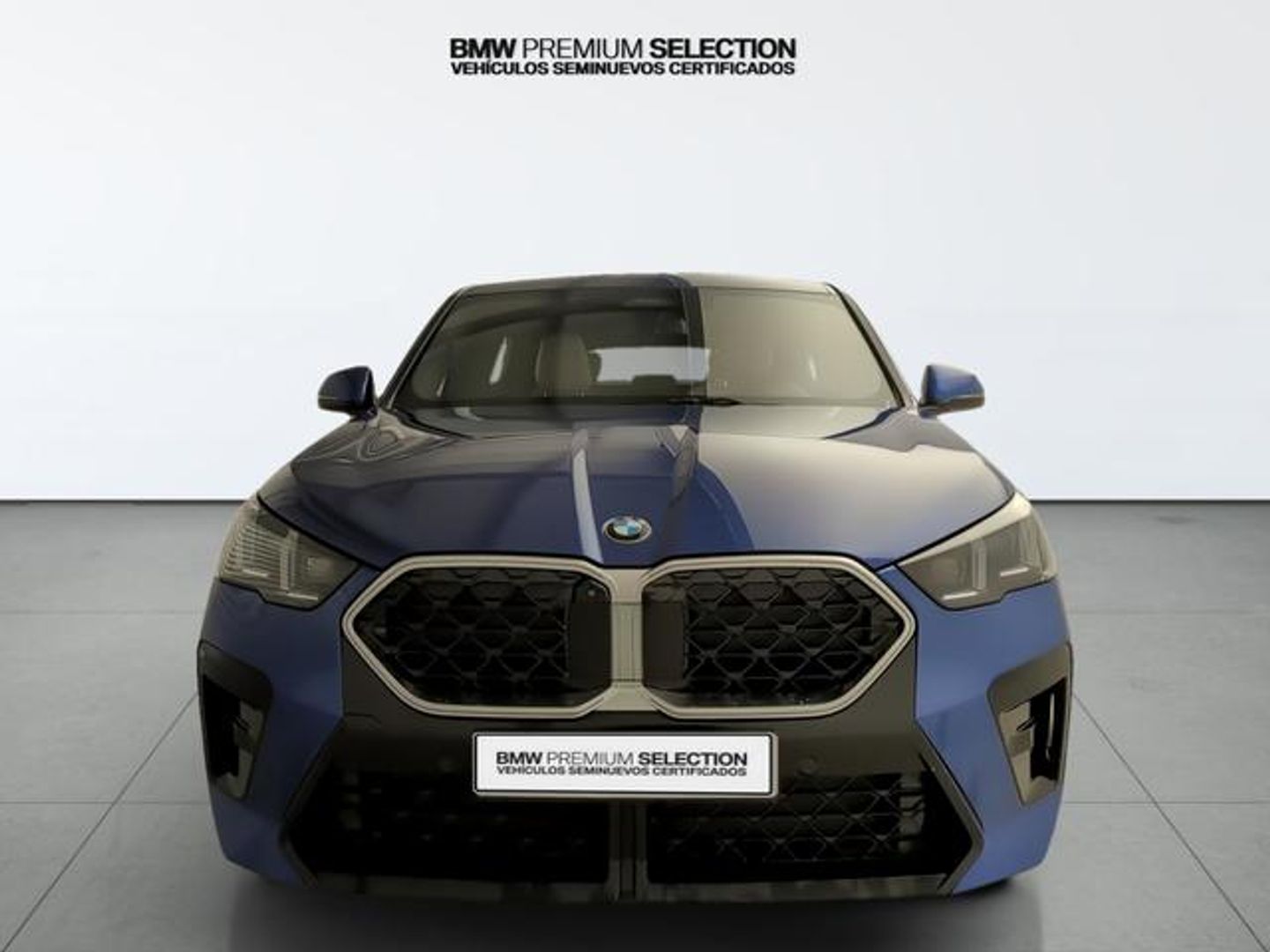 BMW X2 sDrive20i 125 kW (170 CV)