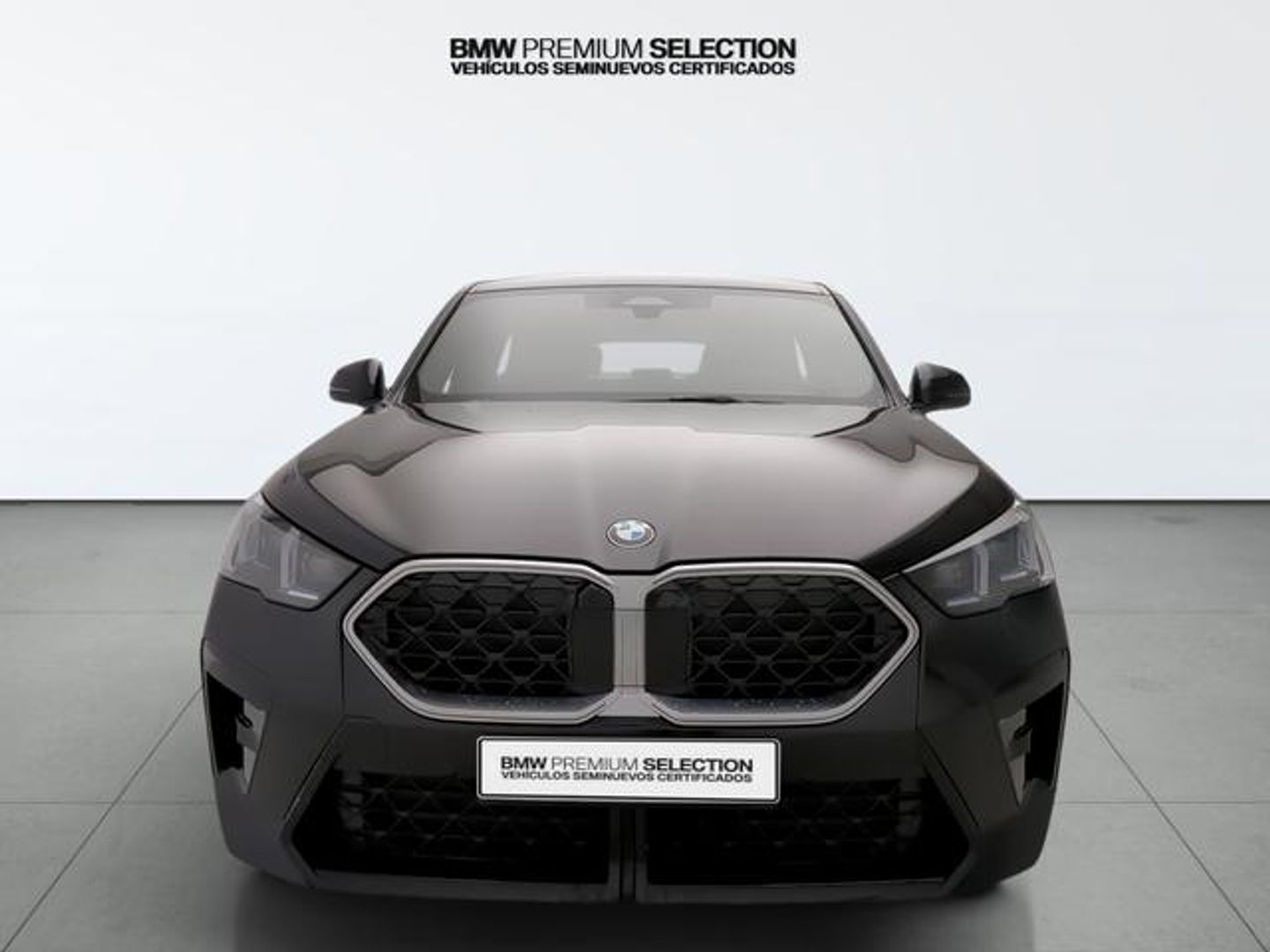 BMW X2 sDrive20i 125 kW (170 CV)