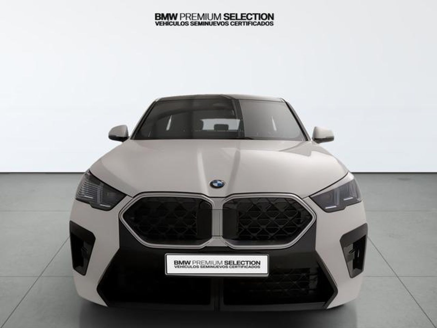 BMW X2 sDrive20i 125 kW (170 CV)