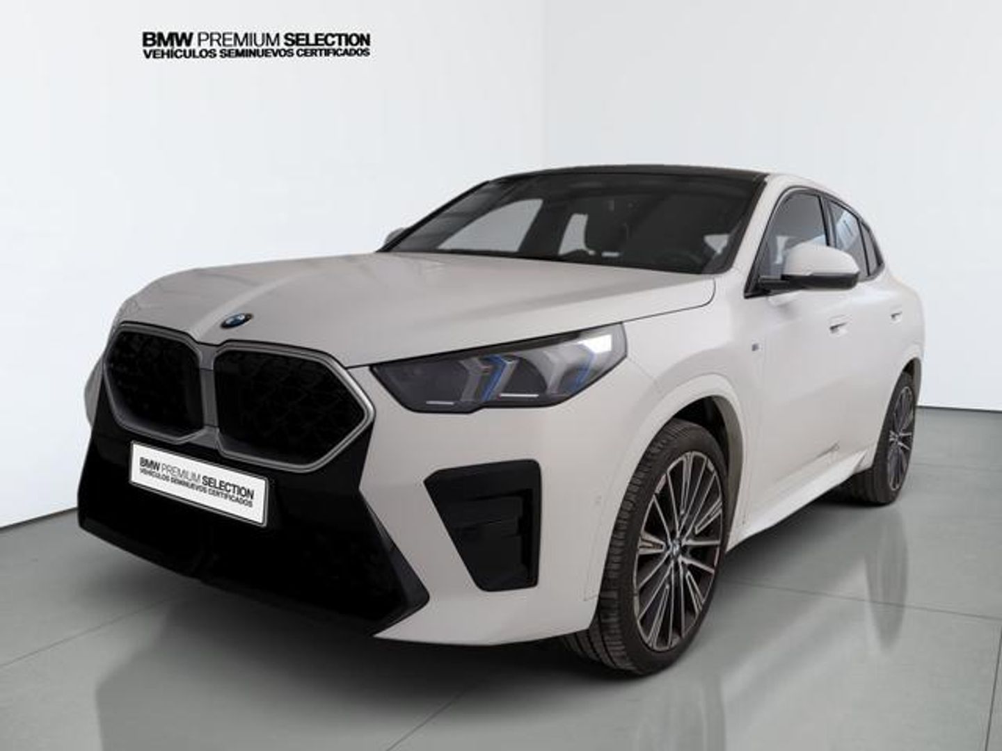 BMW X2 sDrive20i 125 kW (170 CV)