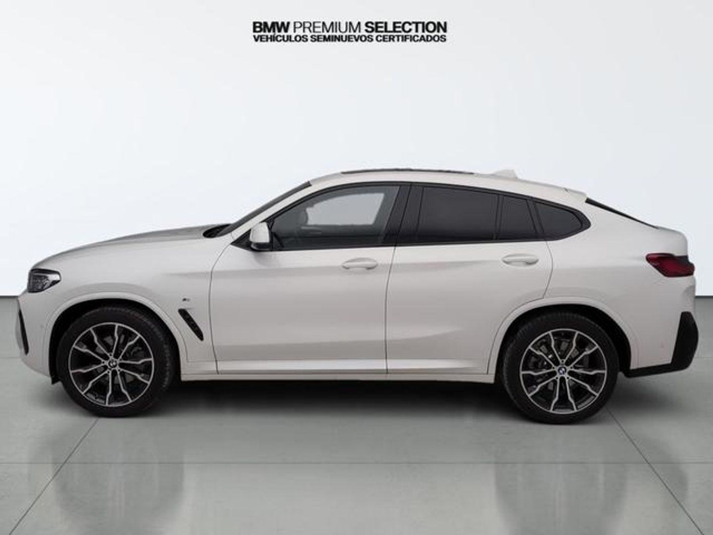 Bmw X4 xDrive20d xLine