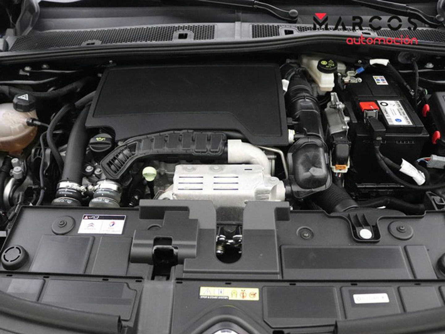 Citroen C4 PureTech 130 S&S Shine 96 kW (130 CV)