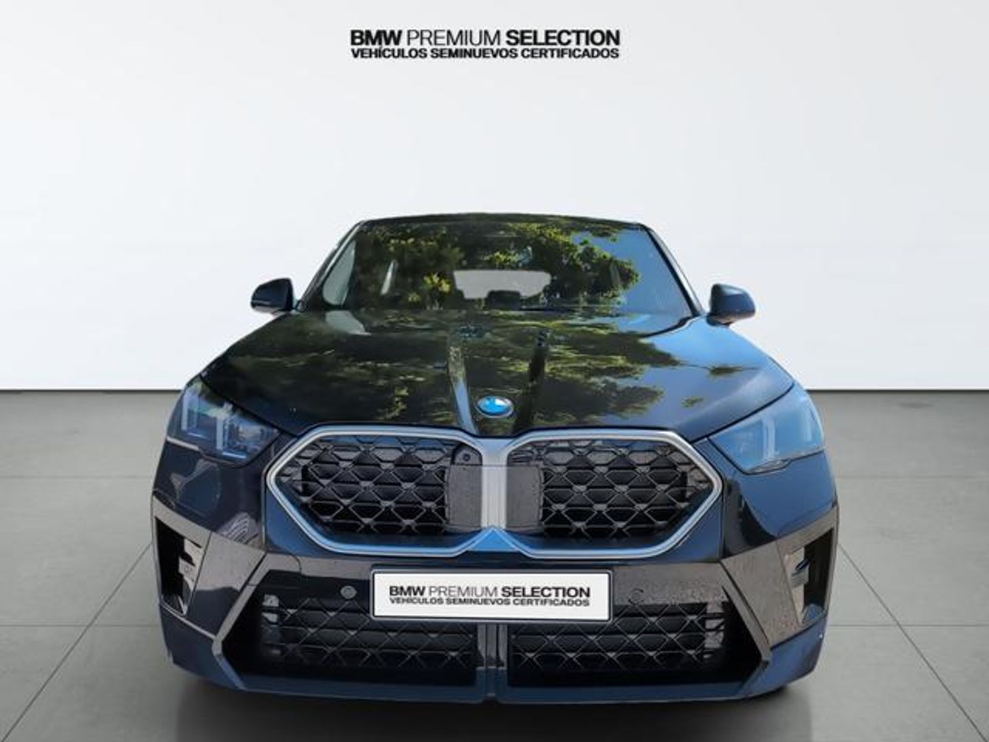 BMW X2 sDrive20i 125 kW (170 CV) Negro SUV