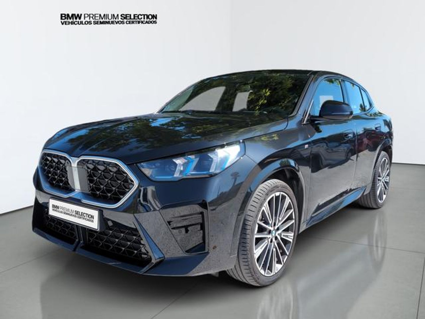 BMW X2 sDrive20i 125 kW (170 CV)