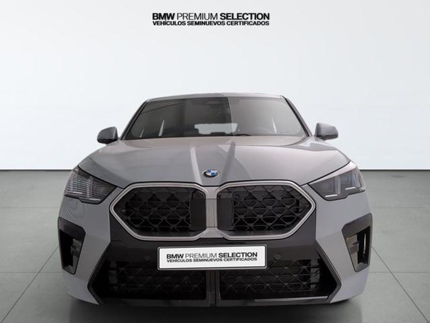 BMW X2 sDrive20i 125 kW (170 CV) Gris SUV