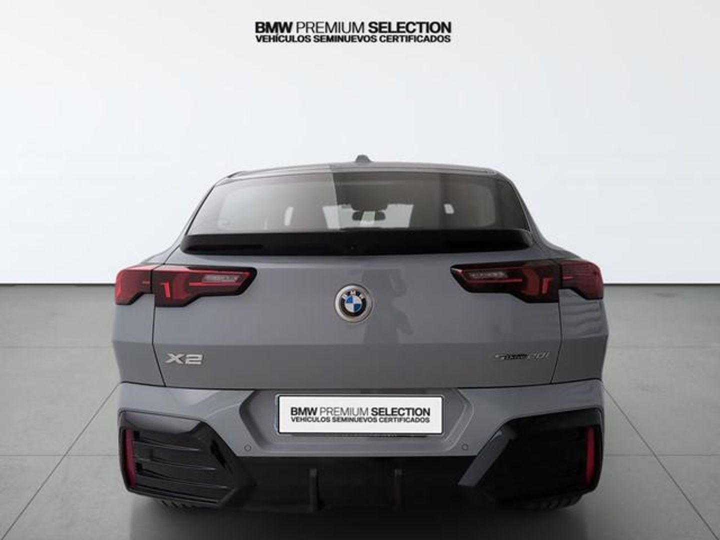 BMW X2 sDrive20i 125 kW (170 CV)