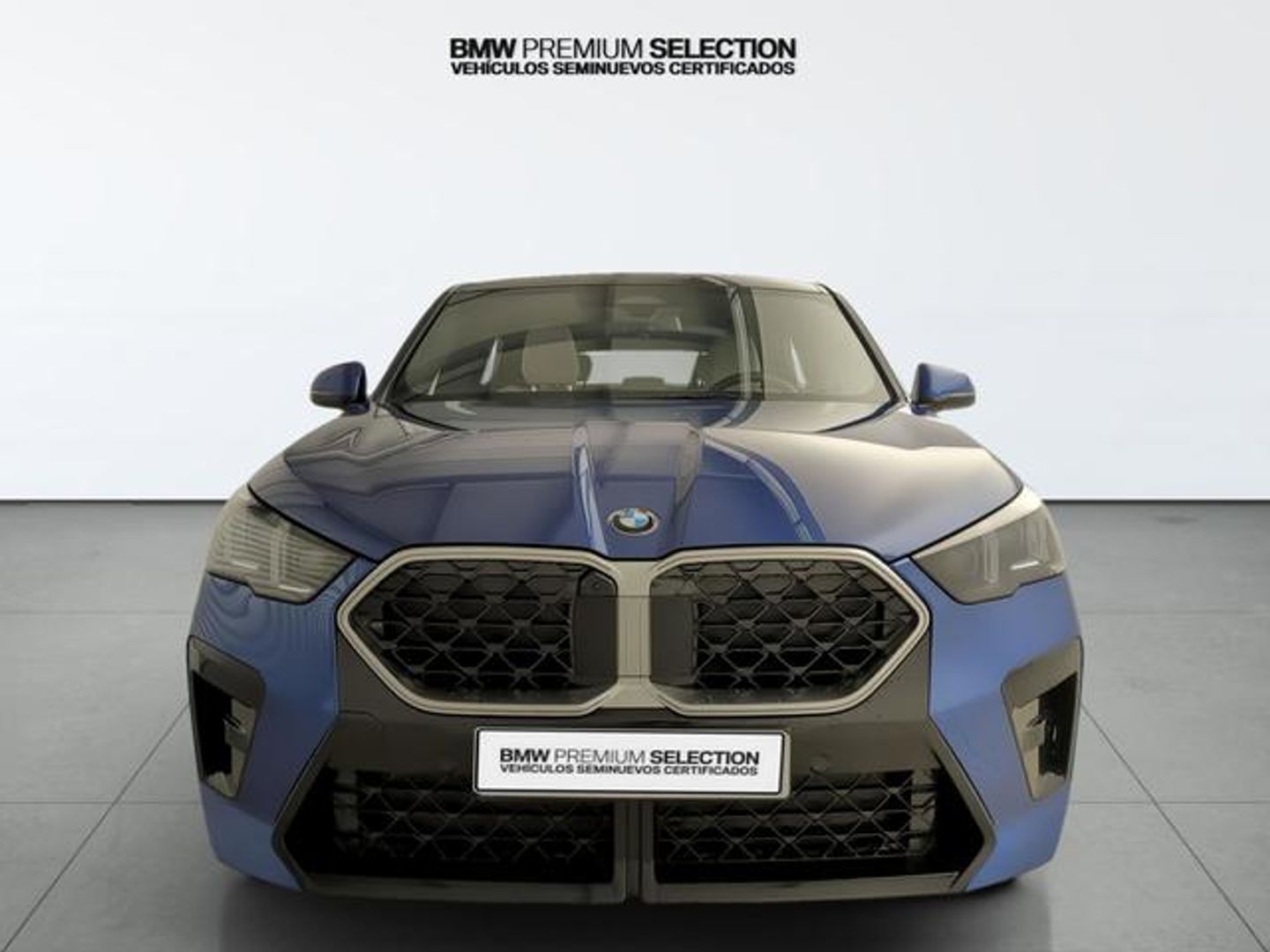BMW X2 sDrive20i 125 kW (170 CV) Azul SUV