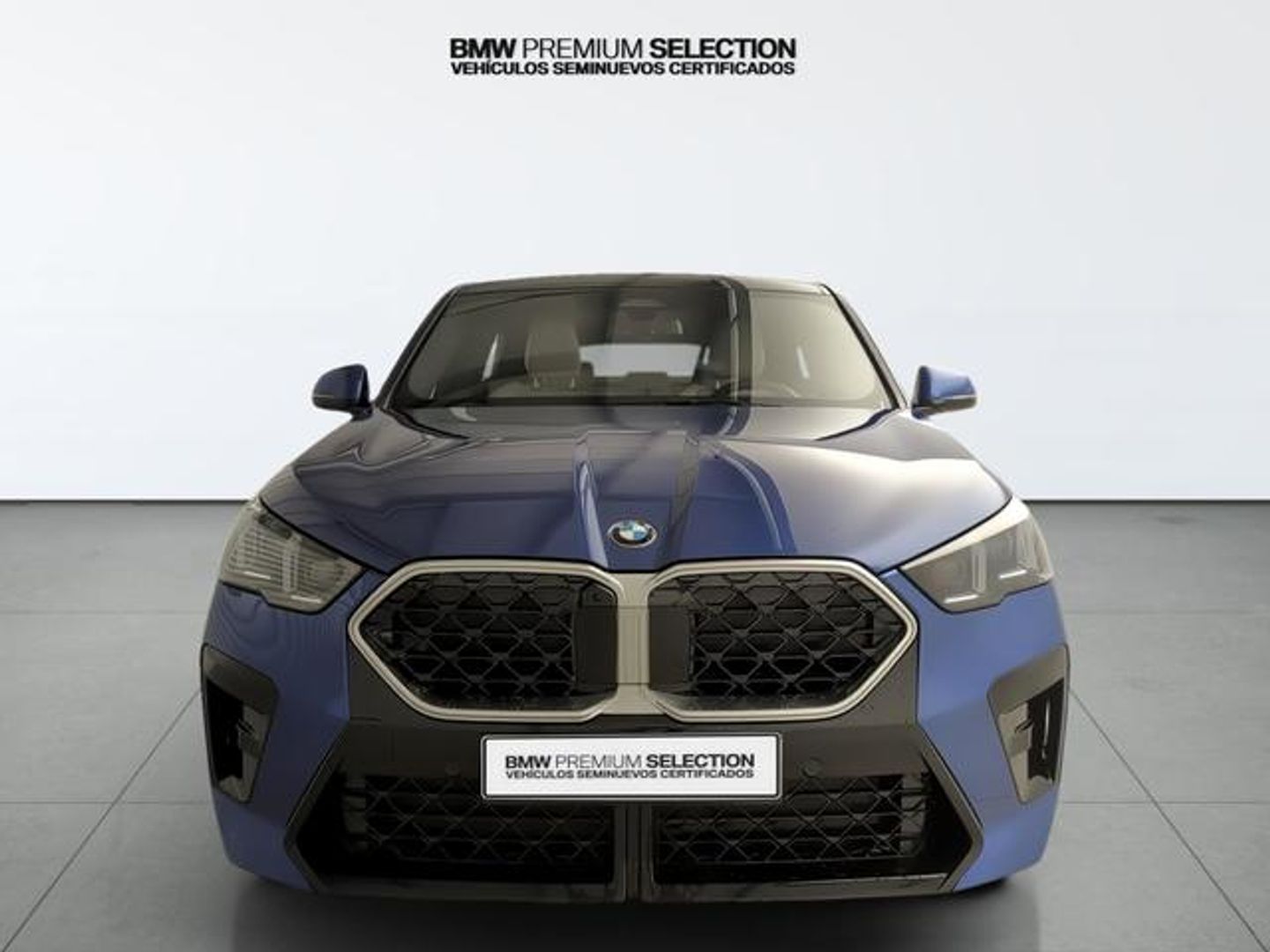 BMW X2 sDrive20i 125 kW (170 CV) Azul SUV