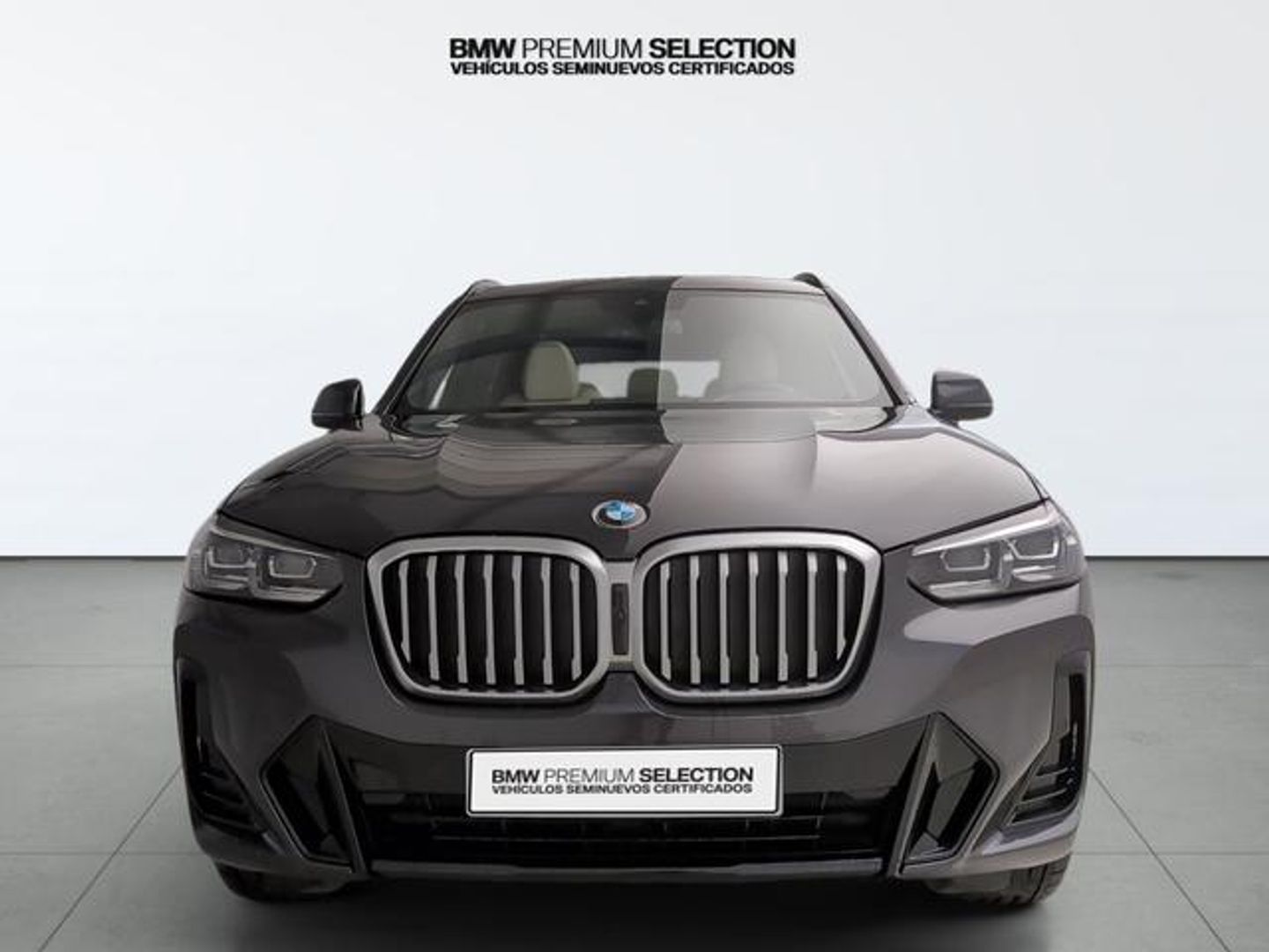 BMW X3 xDrive20d xLine 140 kW (190 CV) Gris SUV