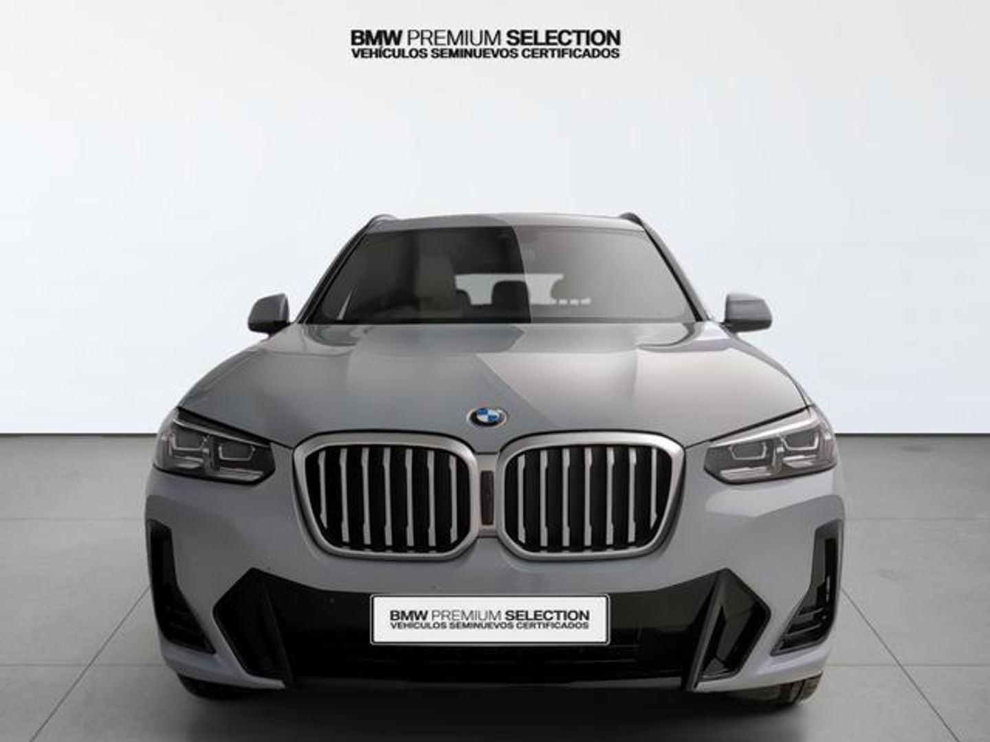 BMW X3 xDrive20d xLine 140 kW (190 CV) Gris SUV