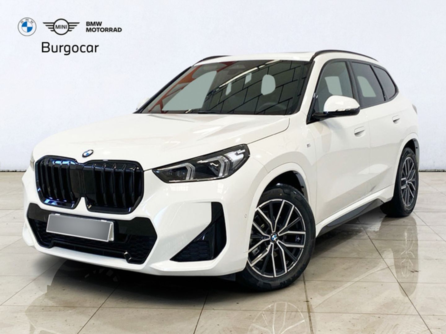 Bmw X1 xDrive20d -