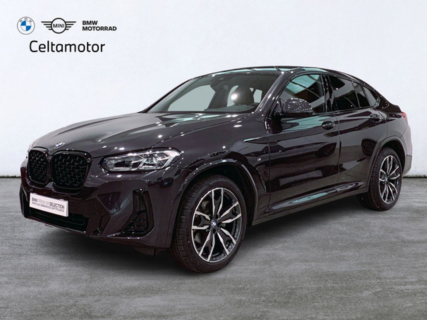 Bmw X4 xDrive20d xLine