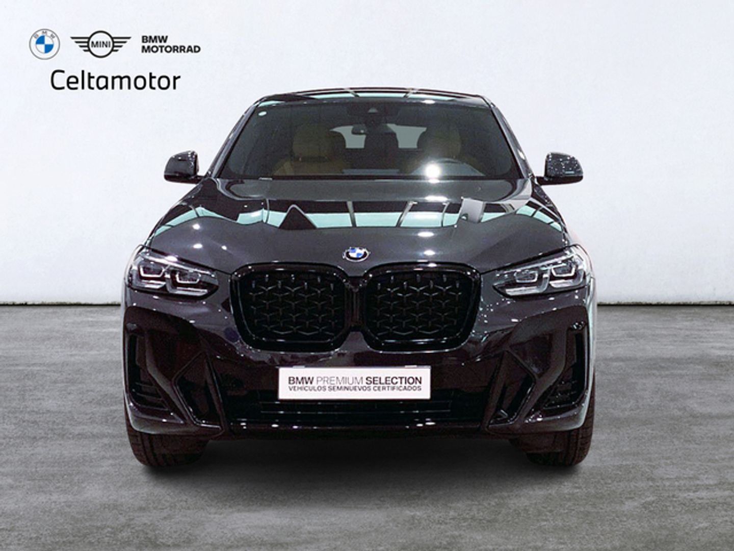 Bmw X4 xDrive20d xLine