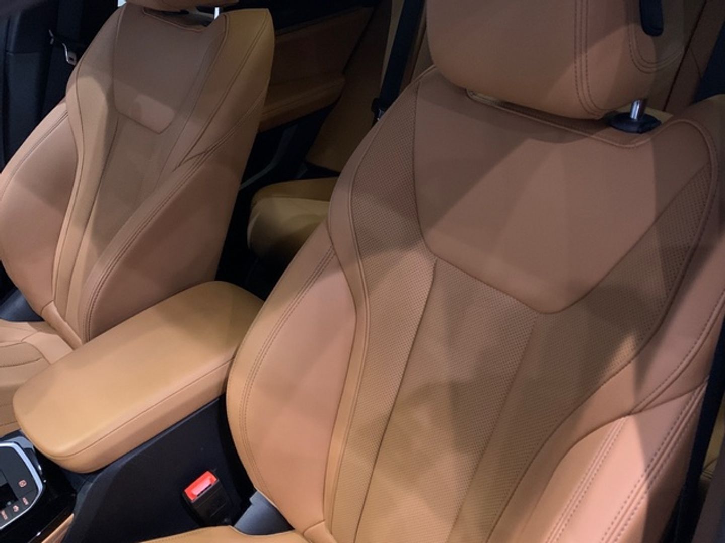 Bmw X4 xDrive20d xLine