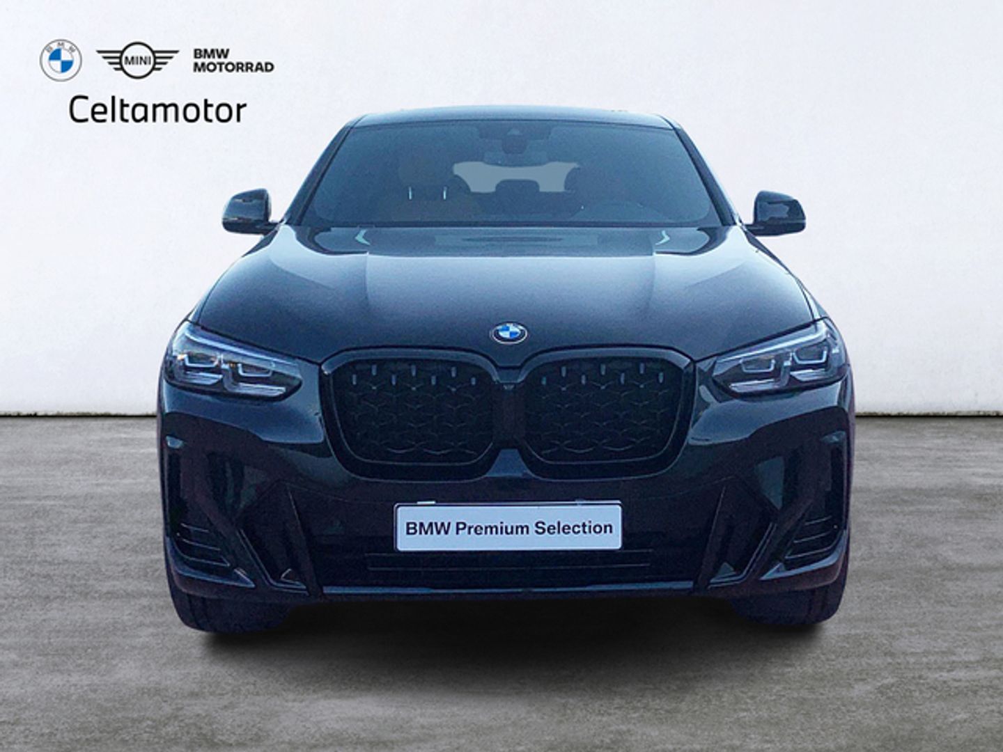 Bmw X4 xDrive20d xLine
