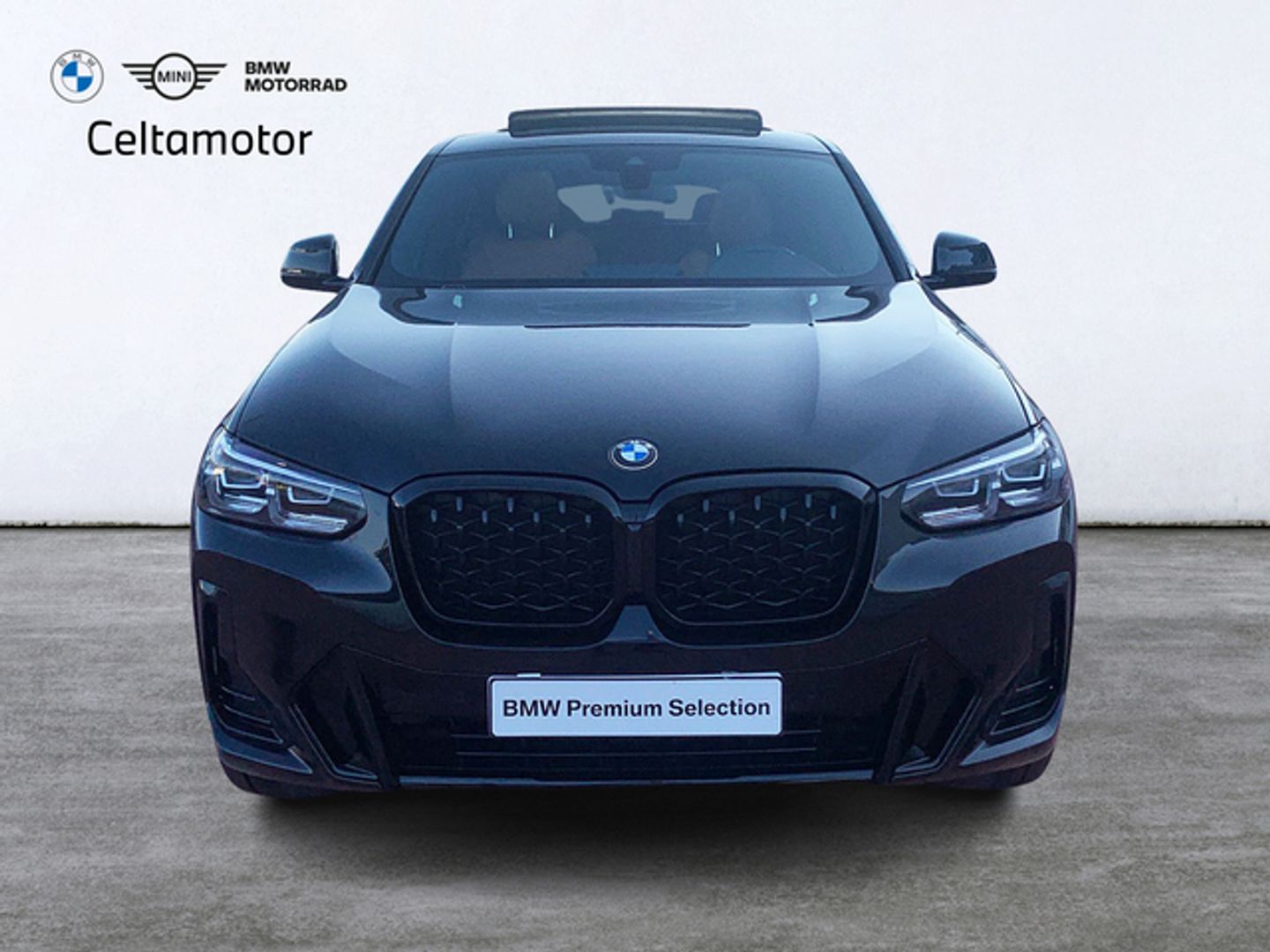 Bmw X4 xDrive20d xLine