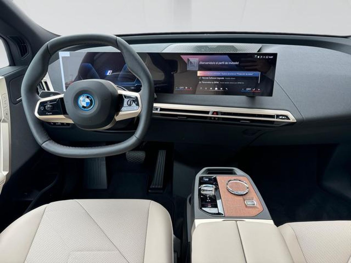 Bmw iX xDrive40 -