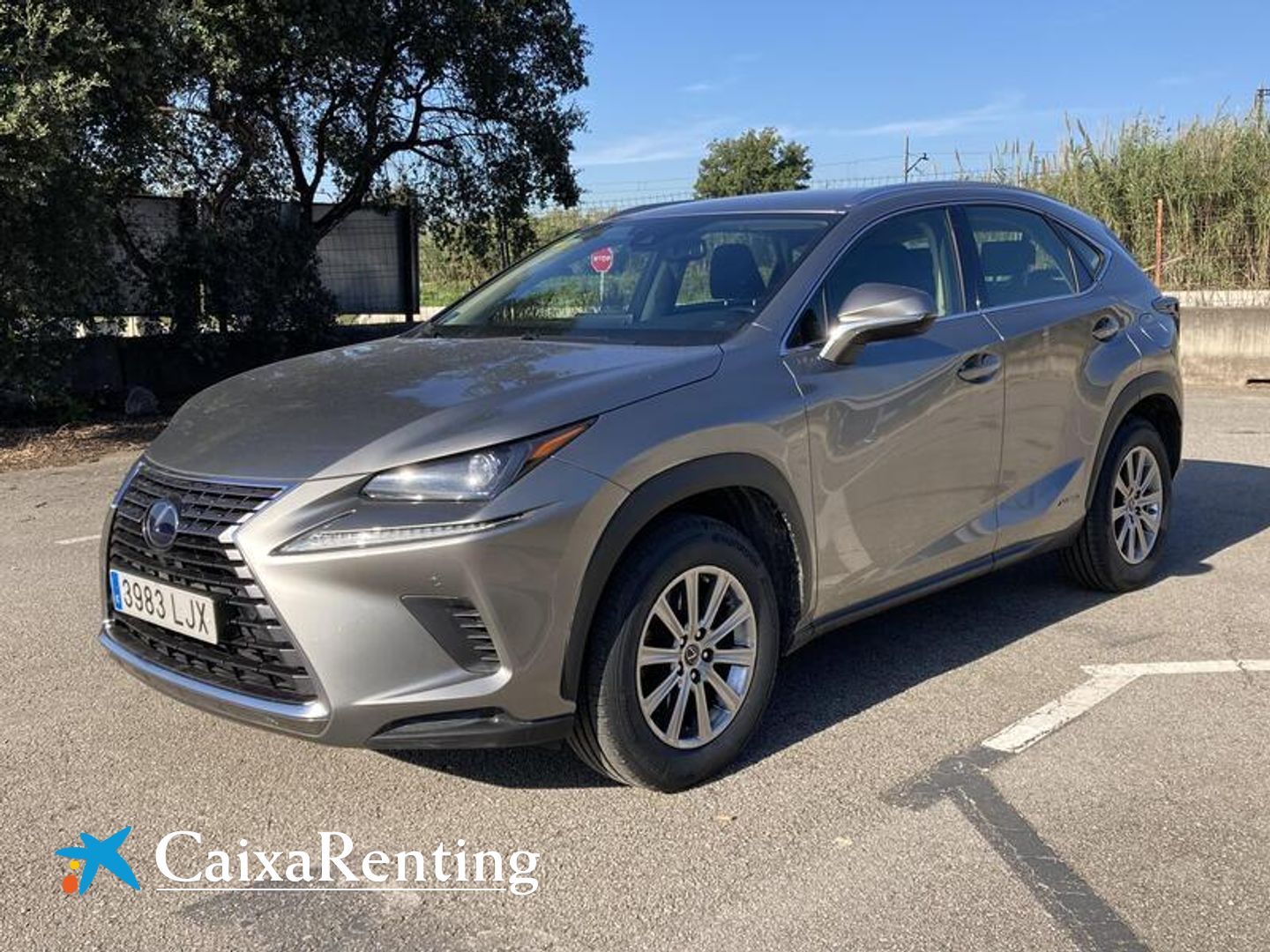 Lexus NX NX 300h Gris SUV