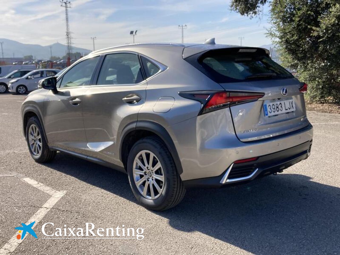 Lexus NX 300h Business Navigation 2WD 145 kW (197 CV)
