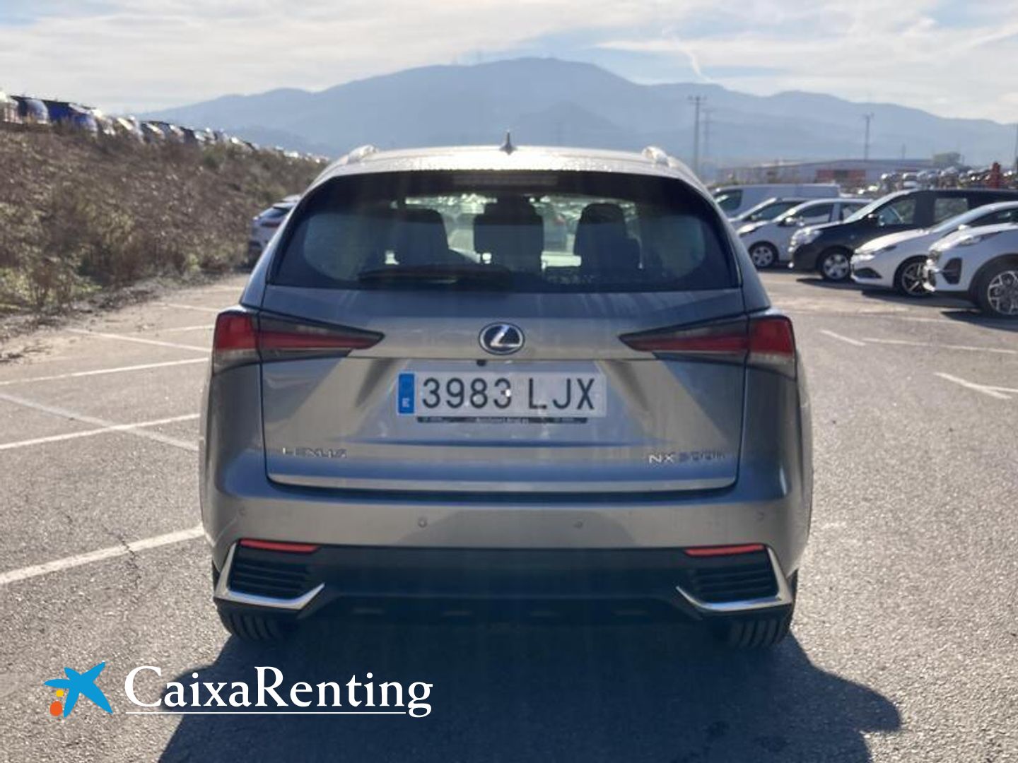 Lexus NX 300h Business Navigation 2WD 145 kW (197 CV)