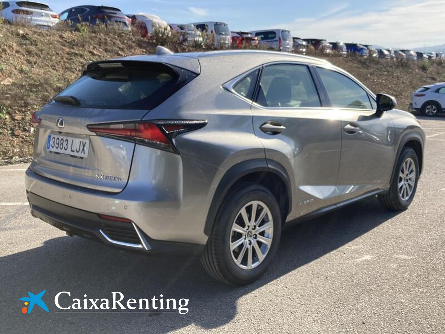 Lexus NX 300h Business Navigation 2WD 145 kW (197 CV)