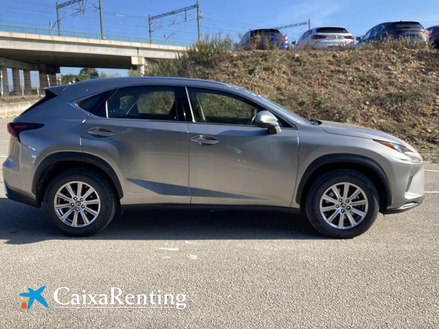 Lexus NX NX 300h