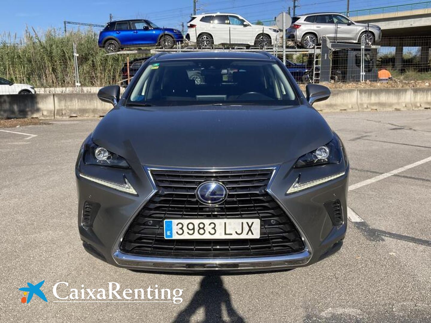 Lexus NX 300h Business Navigation 2WD 145 kW (197 CV)