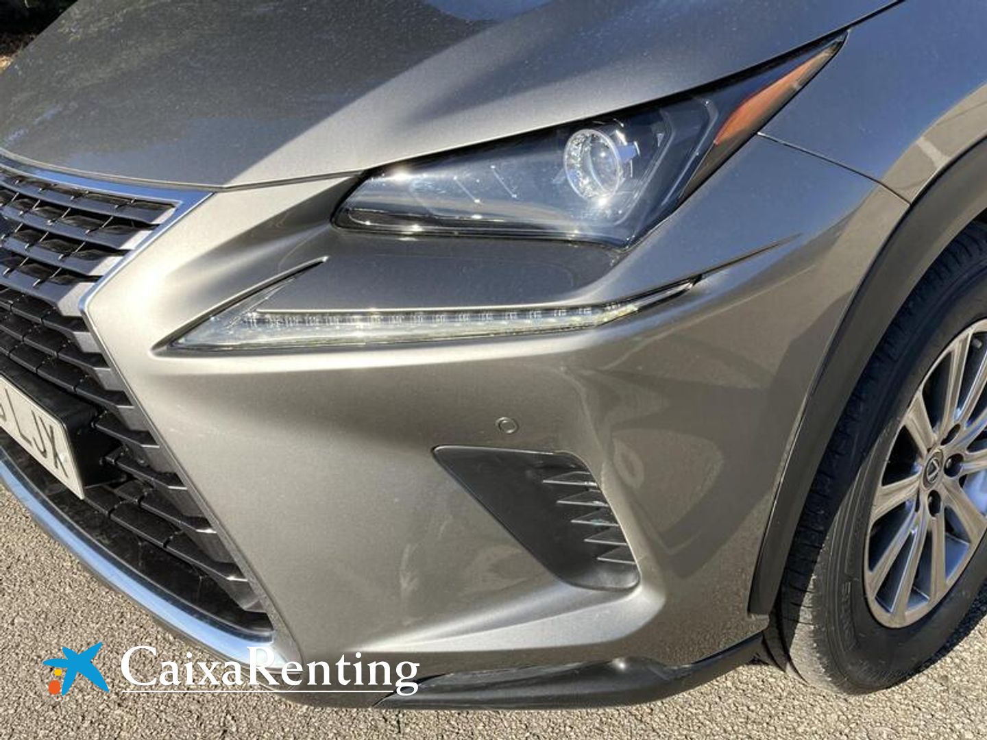 Lexus NX 300h Business Navigation 2WD 145 kW (197 CV)