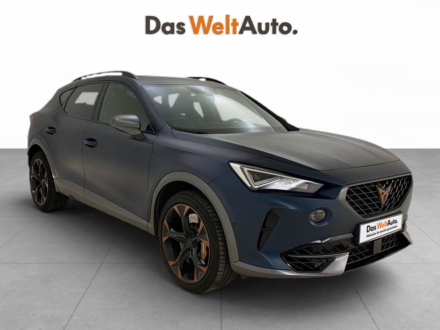 Cupra Formentor 2.0 TSI VZ Azul All Terrain / Pick-up